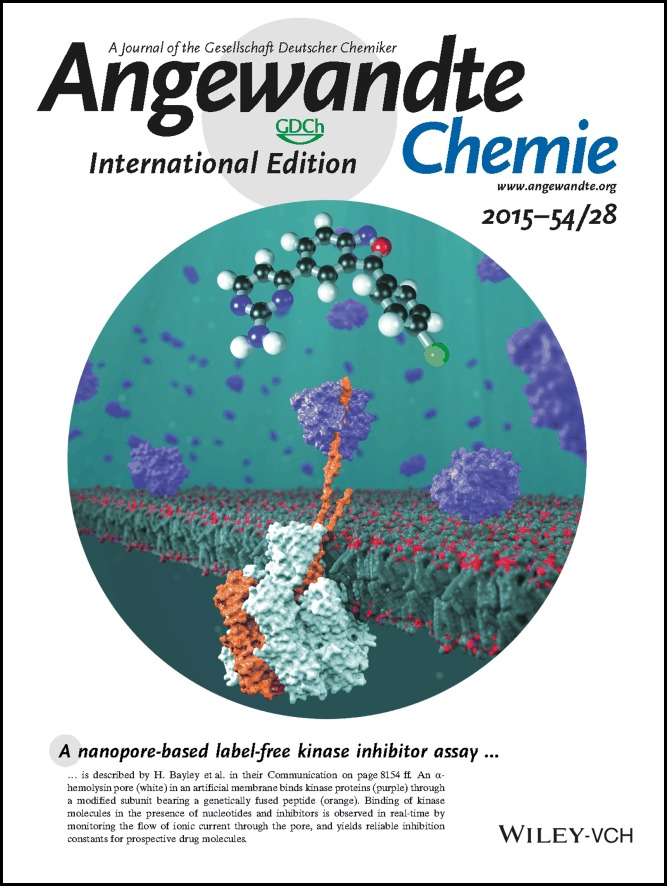 Inside Cover: Pim Kinase Inhibitors Evaluated with a Single-Molecule Engineered Nanopore Sensor (Angew. Chem. Int. Ed. 28/2015)