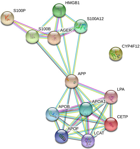 Association of genetic variants at CETP, AGER, and CYP4F2 locus with the risk of atrophic age-related macular degeneration
