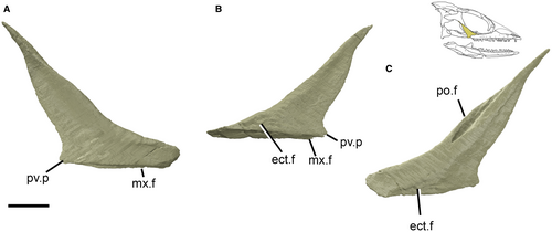 Details are in the caption following the image