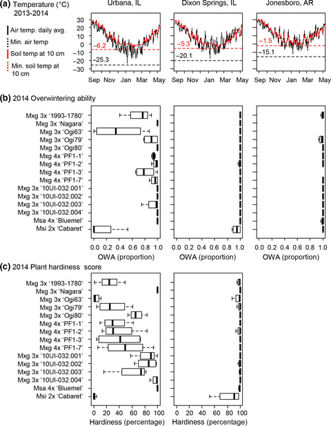 Winter hardiness of Miscanthus (I): Overwintering ability and yield of new Miscanthus ×giganteus genotypes in Illinois and Arkansas