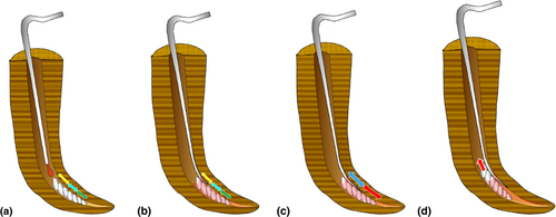 Details are in the caption following the image Details are in the caption following the image