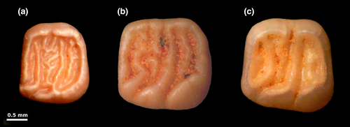 Details are in the caption following the image Details are in the caption following the image