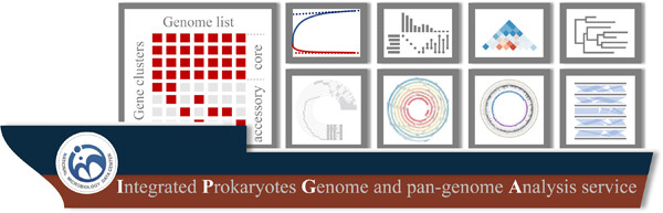 IPGA: A handy integrated prokaryotes genome and pan-genome analysis web service