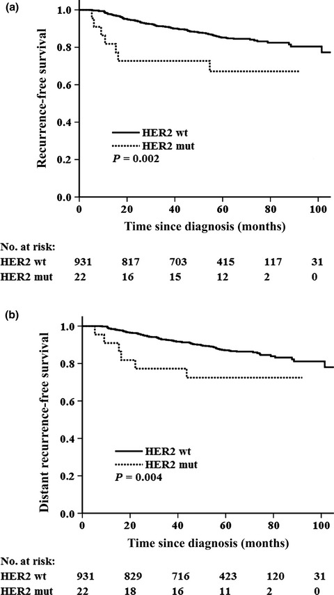 HER2 somatic mutations are associated with poor survival in HER2-negative breast cancers