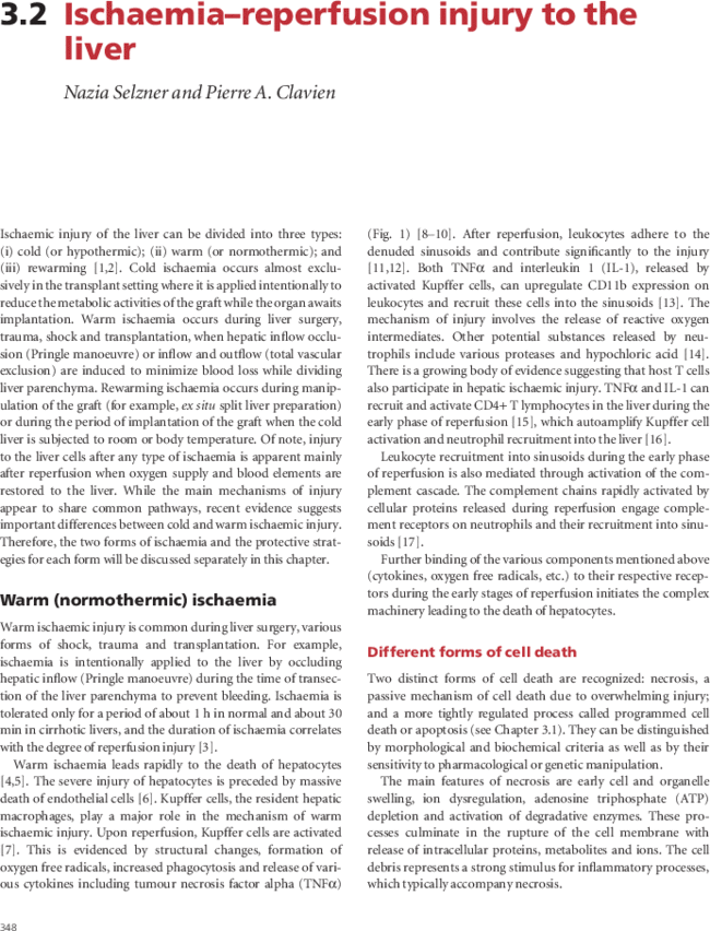 First page image