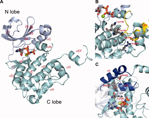 Details are in the caption following the image
