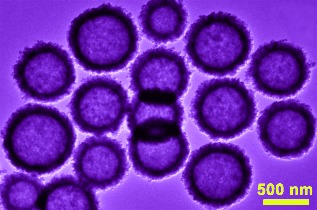 TiO2 Hollow Spheres Composed of Highly Crystalline Nanocrystals Exhibit Superior Lithium Storage Properties
