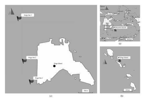 Details are in the caption following the image Details are in the caption following the image