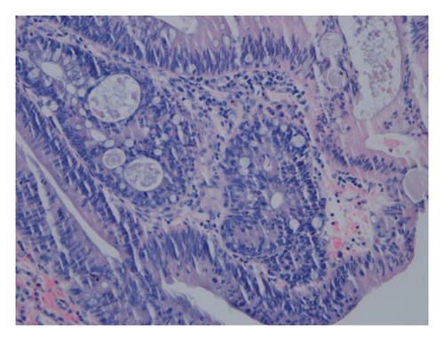 Details are in the caption following the image Details are in the caption following the image