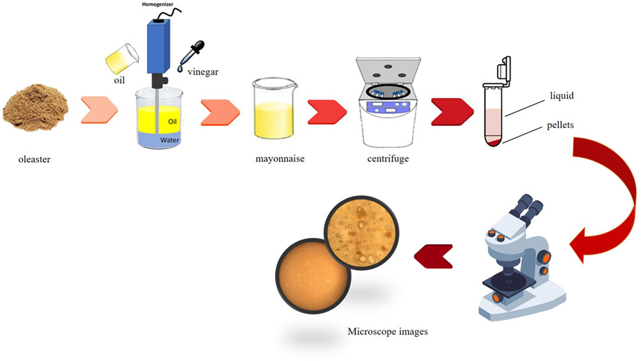 Characteristics of reduced-fat mayonnaise prepared by oleaster as a fat replacer and natural antioxidant