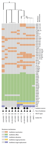 Details are in the caption following the image Details are in the caption following the image