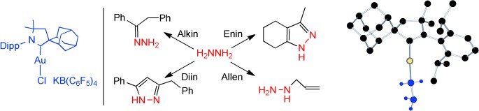 Gold-Catalyzed Hydroamination of Alkynes and Allenes with Parent Hydrazine