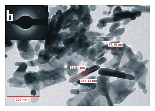 Details are in the caption following the image