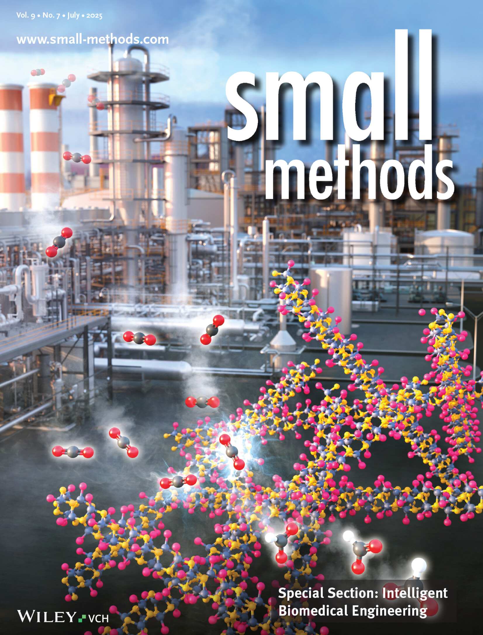 Strategy for Enhancing Catalytic Active Site: Introduction of 1D material InSeI for Electrochemical CO2 Reduction to Formate (Small Methods 7/2025) Volume 9 Issue 7, 2025