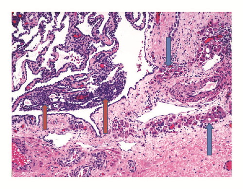 Details are in the caption following the image Details are in the caption following the image
