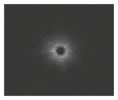 Details are in the caption following the image Details are in the caption following the image