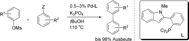 A General Palladium-Catalyzed Suzuki–Miyaura Coupling of Aryl Mesylates