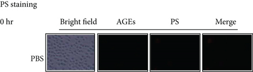 Details are in the caption following the image