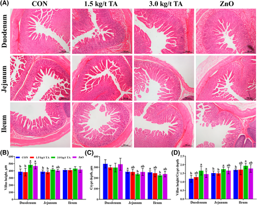 Details are in the caption following the image Details are in the caption following the image