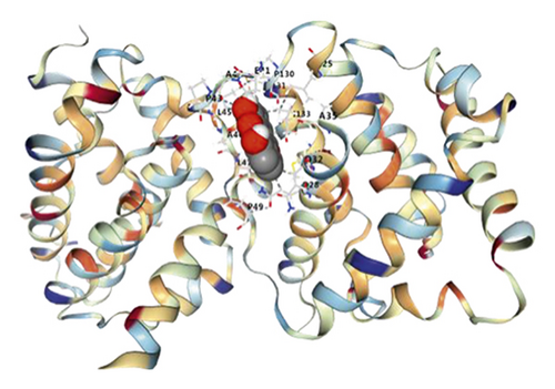 Details are in the caption following the image Details are in the caption following the image