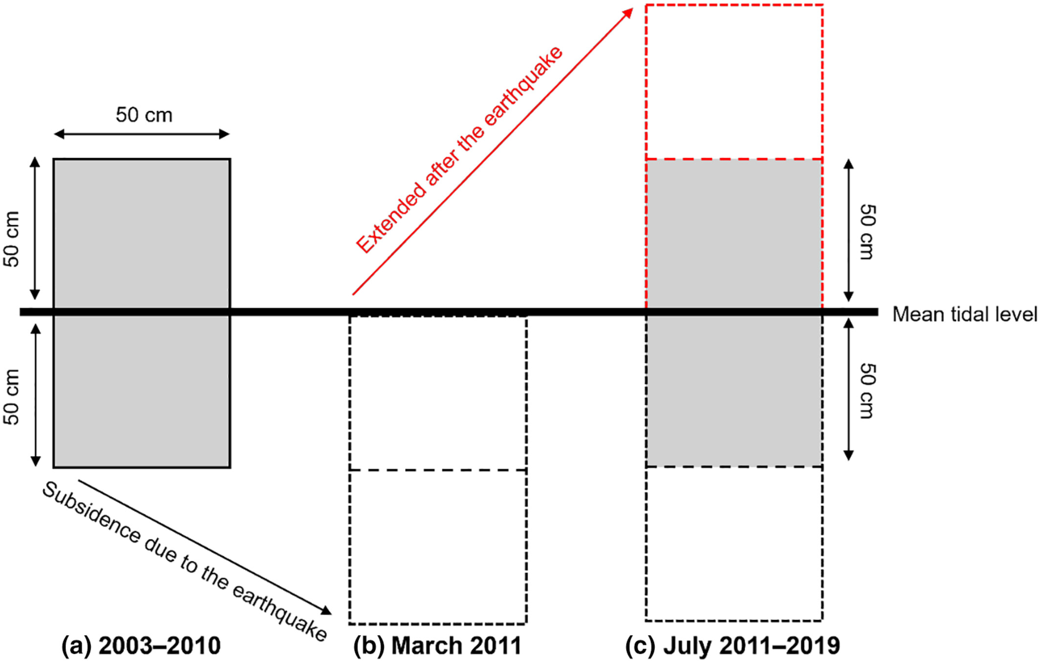 Impact of the 2011 Tohoku Earthquake on the species diversity of rocky intertidal sessile assemblages