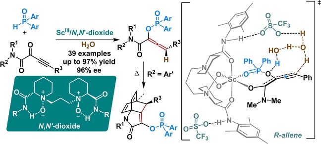 Catalytic Regio- and Enantioselective Protonation for the Synthesis of Chiral Allenes: Synergistic Effect of the Counterion and Water