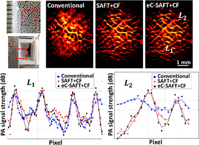 Energy compensated synthetic aperture focusing technique for photoacoustic microscopy