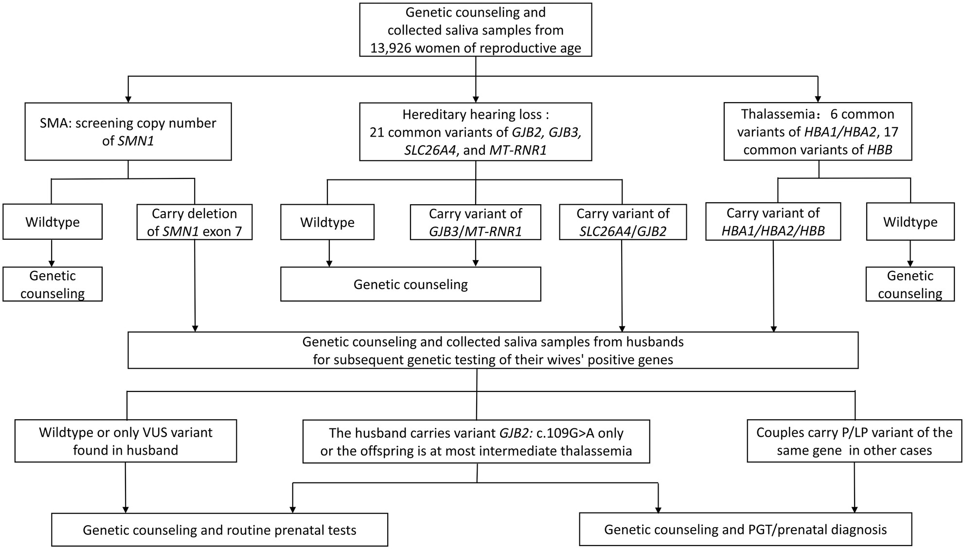 Saliva Sample-Based Non-Invasive Carrier Screening for Spinal Muscular Atrophy, Hereditary Hearing Loss, and Thalassemia in 13,926 Women of Reproductive Age From South Zhejiang