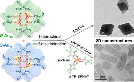 Heterochiral Self-Discrimination-Driven Supramolecular Self-Assembly of Decanuclear Gold(I)-Sulfido Complexes into 2D Nanostructures with Chiral Anions-Tuned Morphologies