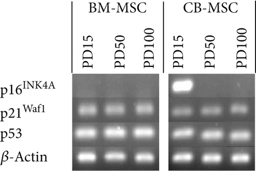 Details are in the caption following the image