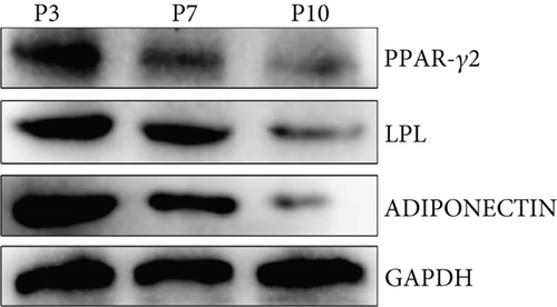 Details are in the caption following the image
