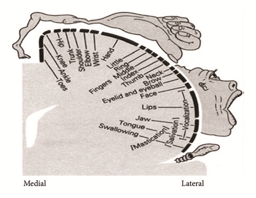 Details are in the caption following the image