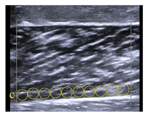 Details are in the caption following the image Details are in the caption following the image