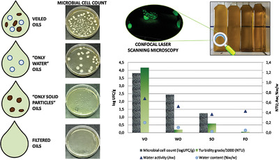 Physical, Chemical, and Biological Characterization of Veiled Extra Virgin Olive Oil Turbidity for Degradation Risk Assessment