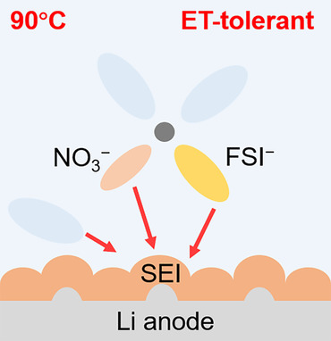 Cycling a Lithium Metal Anode at 90 °C in a Liquid Electrolyte