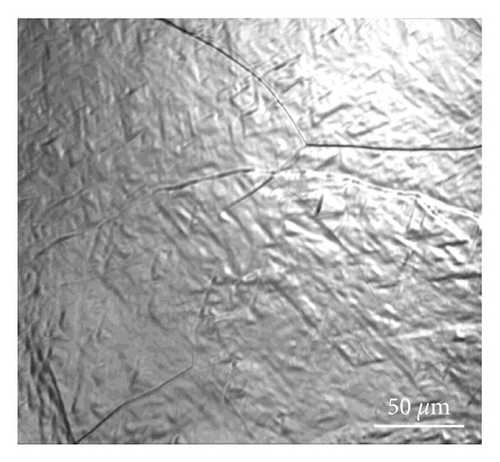 Details are in the caption following the image
