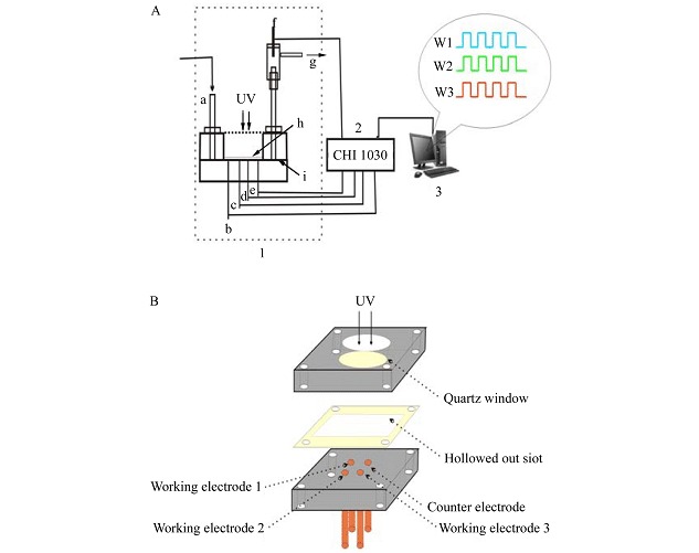 Photoelectrochemical Immunosensor Array Based on Thioglycolic Acid Capped CdS Quantum Dots for Multiplexed Detection of Veterinary Drug Residues