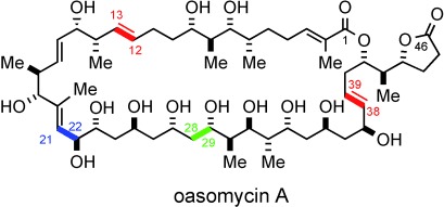 Enantioselective Synthesis of Oasomycin A, Part II: Synthesis of the C29–C46 Subunit