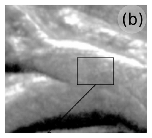 Details are in the caption following the image