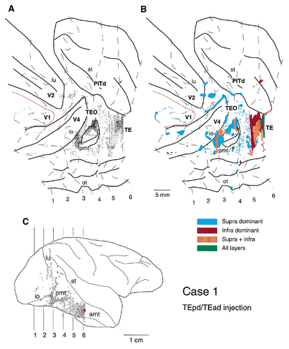 Details are in the caption following the image Details are in the caption following the image