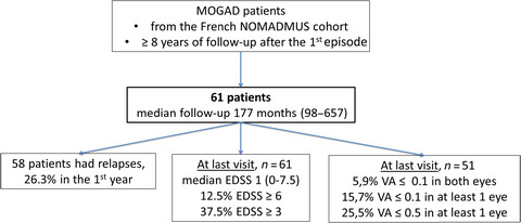 The long-term outcome of MOGAD: An observational national cohort study of 61 patients