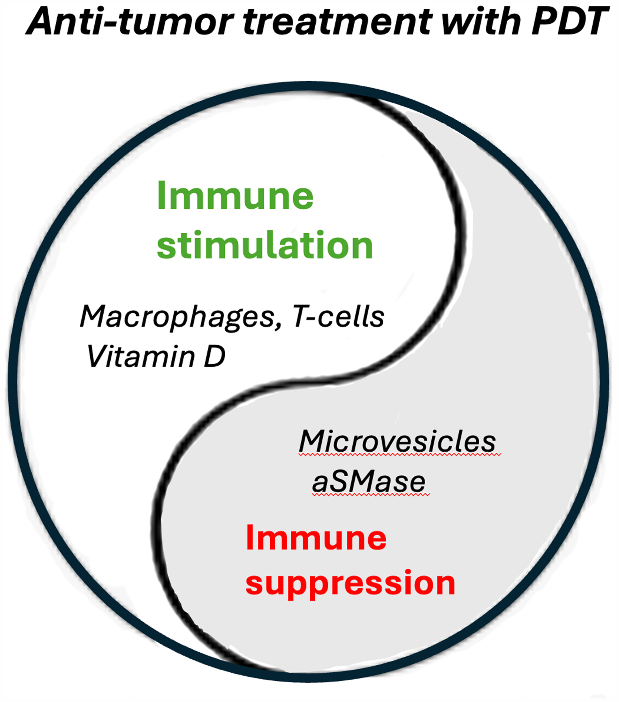 Immunomodulatory effects of photodynamic therapy for skin cancer: Potential strategies to improve treatment efficacy and tolerability Issue ,