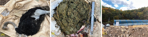 Details are in the caption following the image Details are in the caption following the image