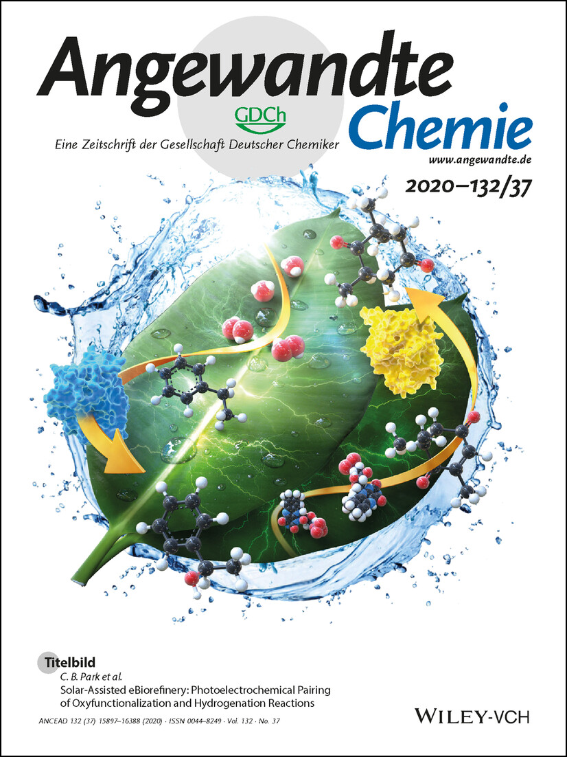 Titelbild: Solar-Assisted eBiorefinery: Photoelectrochemical Pairing of Oxyfunctionalization and Hydrogenation Reactions (Angew. Chem. 37/2020) Volume 132 Issue 37, 2020