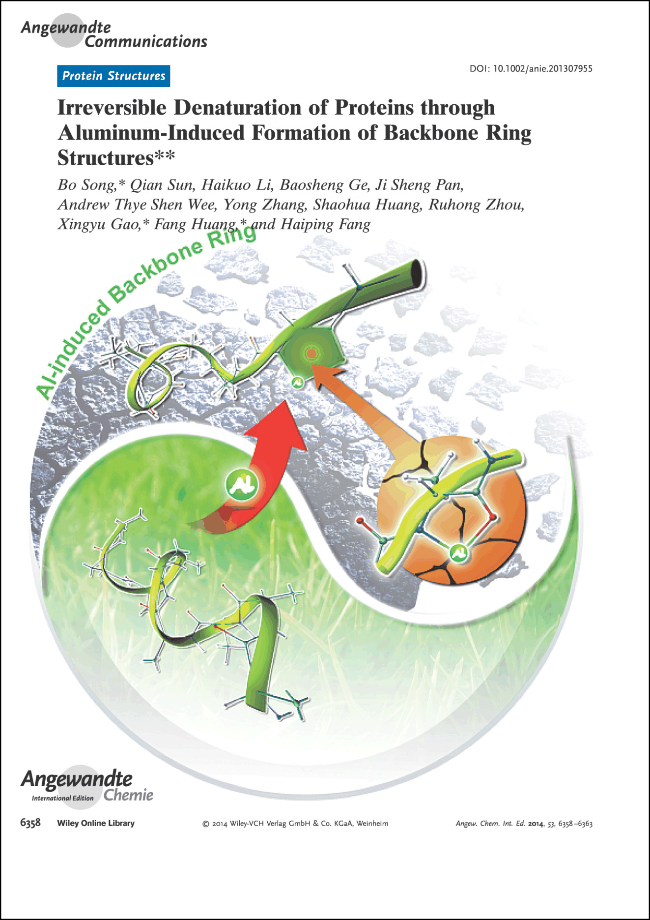Frontispiz: Irreversible Denaturation of Proteins through Aluminum-Induced Formation of Backbone Ring Structures