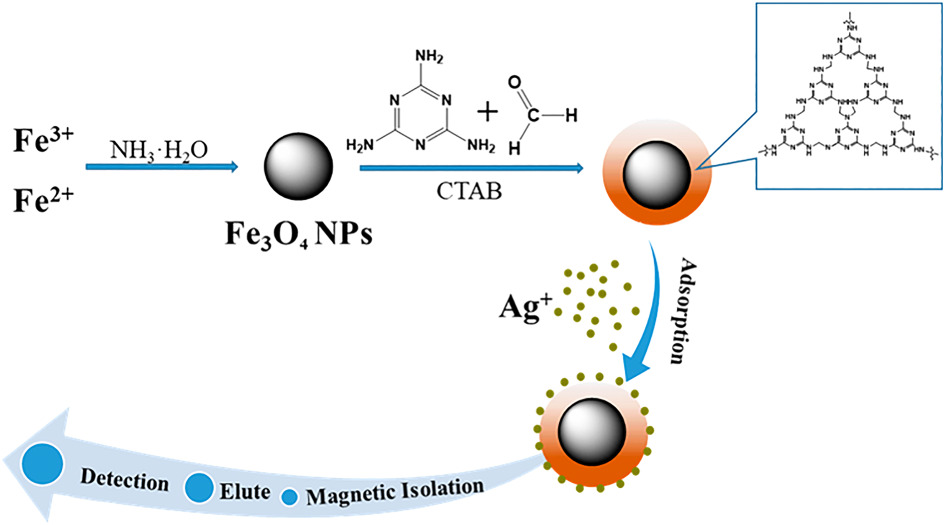 Design and preparation of magnetic mesoporous melamine–formaldehyde resin: A novel material for pre-concentration and determination of silver
