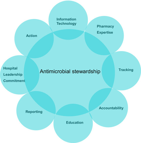 Antimicrobial stewardship program in pediatric medicine