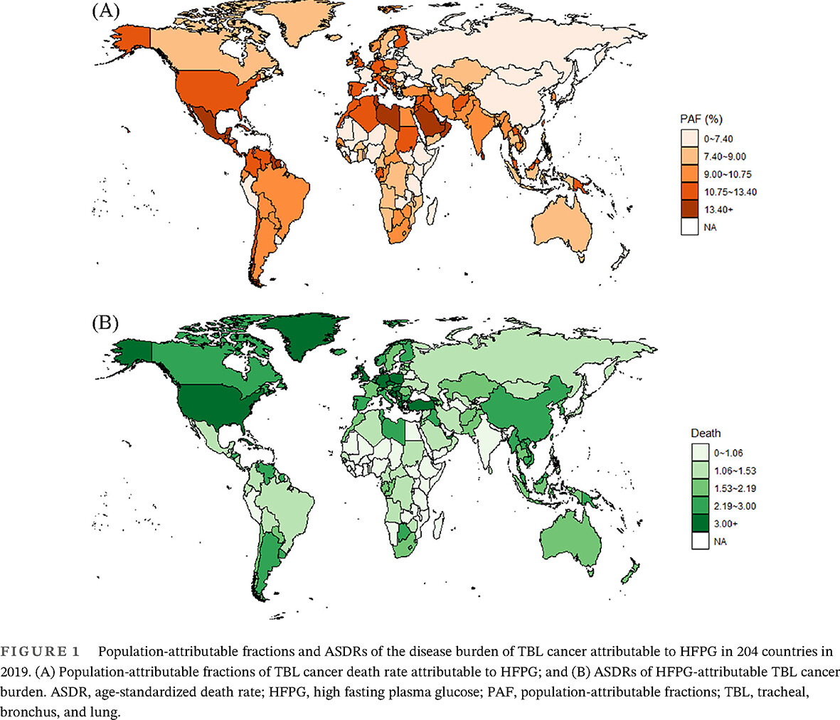 Global, regional, and national burden of tracheal, bronchus, and lung cancers attributable to high fasting plasma glucose: A systematic analysis of global burden of disease 2019