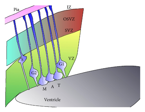 Details are in the caption following the image