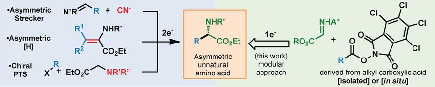 A General Amino Acid Synthesis Enabled by Innate Radical Cross-Coupling